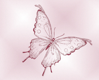 butterfly