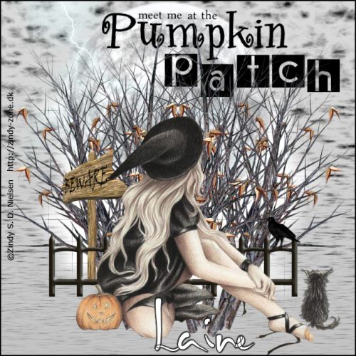 pumpkin patch