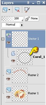 convert raster to vector psp